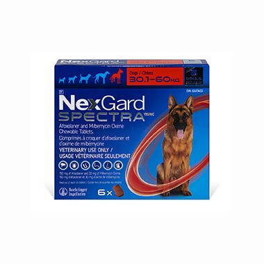 Nexgard Spectra XL (red)