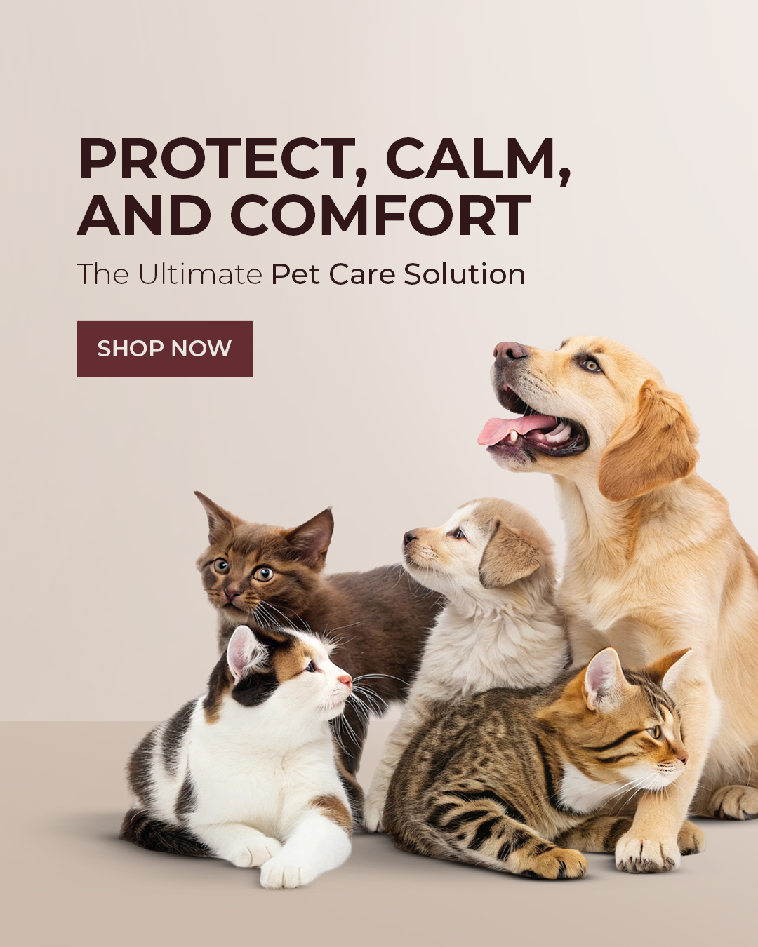 PET BANNER PHONE